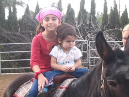 From Camera 133.jpg